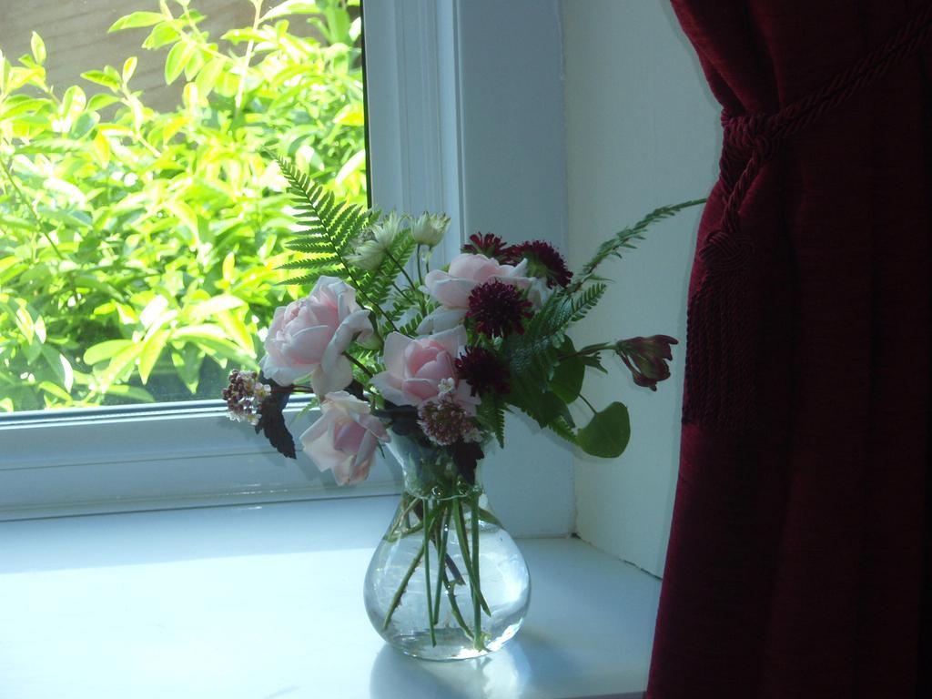 Weston House Bed & Breakfast Bampton  Dış mekan fotoğraf